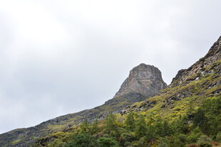 巍峨山峰与葱郁植被 稻城