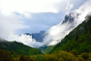 云雾缭绕的山间美景 稻城