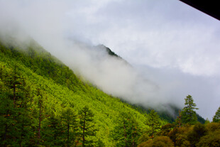云雾缭绕的翠绿山林 稻城