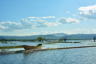 宁静水乡的孤舟美景 稻城