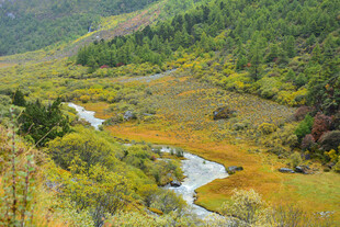 山间蜿蜒溪流的秋日美景 稻城