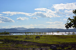 草原湖畔风光 稻城