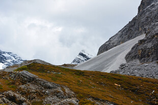 高山草甸与远处雪山景观