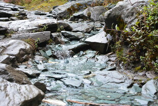 山间清澈溪流穿岩石而过 稻城