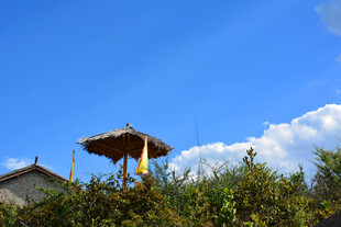 乡村小屋旁的遮阳草棚 稻城