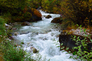 山间流淌的湍急清澈溪流