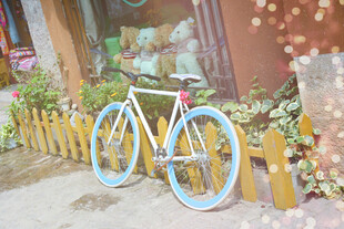 街边复古风自行车与绿植 稻城