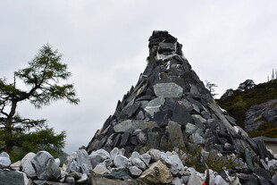 石堆景观 孤树相伴 稻城