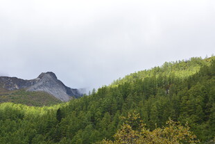 青山葱郁间的秀丽山景 稻城
