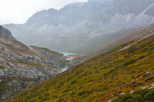 山间秋色美景 稻城