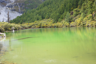 翠绿湖水与山林美景 稻城