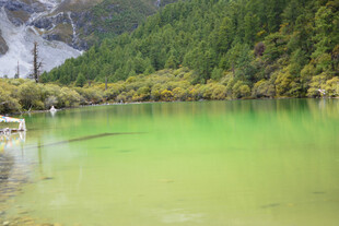 翠绿湖水与山林美景