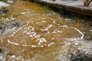 石头上的白色手写痕迹 稻城