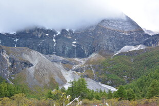 云雾缭绕的壮丽山间景色 稻城