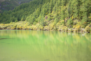 翠绿山林环绕的静谧湖水 稻城