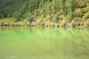 翠绿山林旁的澄澈湖水 稻城
