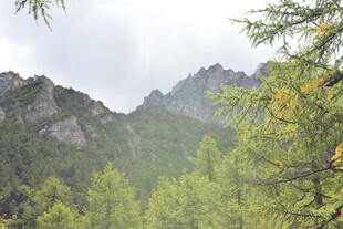 山林间的秀丽山峦风光 稻城