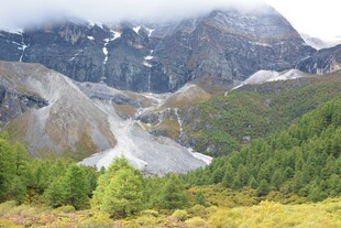 壮丽高山森林景观 稻城