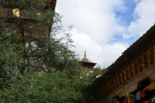 藏式建筑旁的葱郁绿植 稻城