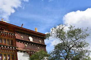 藏式建筑与蓝天白云绿树 稻城