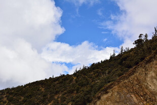 山坡蓝天绿树自然景象 稻城