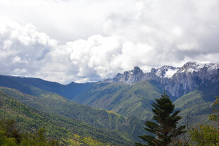 壮丽山峦与葱郁植被景观 稻城