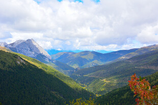 壮丽山景 多彩山林风光 稻城