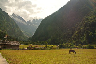 山间草原上的孤马 稻城