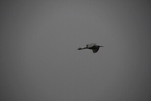 空中飞行的神秘无人机