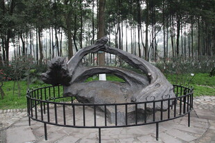 林中独特雕塑艺术景观