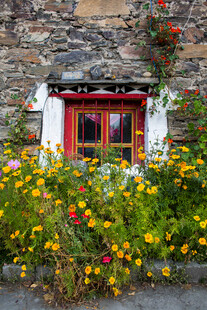 石墙旁繁花簇拥的温馨小屋