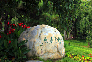 园林景石 镌刻自然诗意