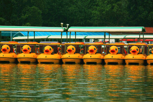 湖畔整齐排列的黄色游船