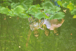 水中倒影的绿植与行人