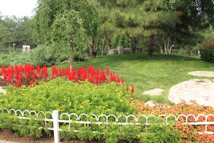 公园中的多彩花卉景观