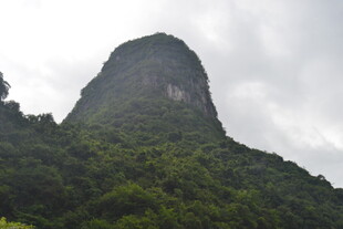 巍峨青山覆绿植