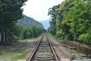 延伸向远方的林间铁轨