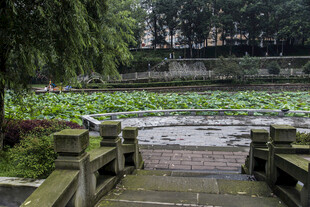 荷塘石桥畔的静谧景致