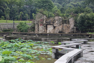 古遗迹旁的荷塘景观