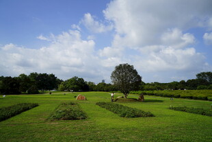 田园绿野风光美景