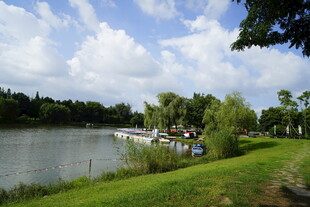 湖畔美景 宁静自然风光