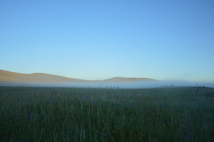 广袤草原与远处山峦景色