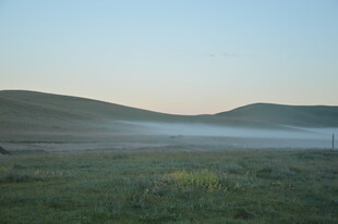 晨雾中的草原美景