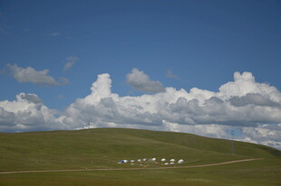 草原上的白色帐篷与蓝天