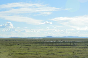 广袤草原蓝天白云美景
