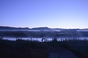 湖畔晨曦中的静谧自然景