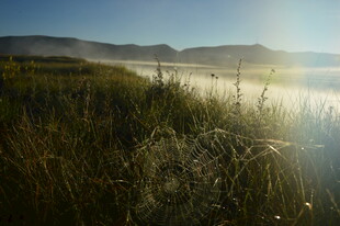 晨光下的草地与远山景色