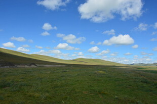 广袤草原与蓝天白云美景