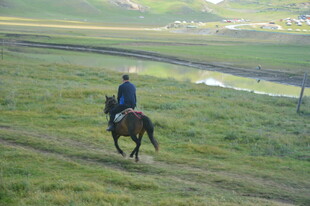 草原上的单人骑马之旅