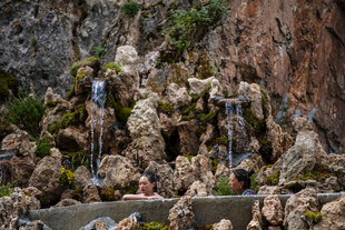 岩石上的牡蛎养殖场景